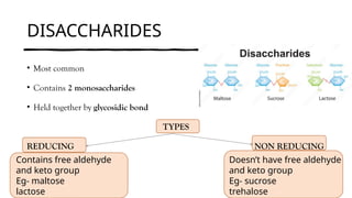 DISACCHARIDES
• Most common
• Contains 2 monosaccharides
• Held together by glycosidic bond
TYPES
REDUCING NON REDUCING
Contains free aldehyde
and keto group
Eg- maltose
lactose
Doesn’t have free aldehyde
and keto group
Eg- sucrose
trehalose
 