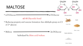 MALTOSE
• α D-Glucose α D-Glucose
α(1-4) Glycosidic bond
• Reducing property and osazone formation- free aldehyde group on C1
of 2nd
glucose
• Maltose 2α DGlucose
hydrolyzed by dilute acid/maltase
 