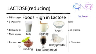 LACTOSE(reducing)
• Milk sugar –found in milk
• β D galactose β D Glucose
β(1-4) glycosidic bond
• Reducing property and osazone formatiom- C1 carbon is free in glucose
• Main source of nutrition in young mammels
• Lactose Glucose + Galactose
Hydrolysed by lactase (intestinal enzyme)
 