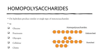 HOMOPOLYSACCHARIDES
• On hydrolysis produce similar or single type of mmonosaccharides
• eg
 Glucans
 Fructosans
 Glycogen
 Cellulose
 Chitin
 