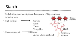 Starch
• Carbohydrate resourse of plants- dietrysourse of higher animals
including man
• High content Cereals
Roots
Tubes
Vegetables
• Homopolymer of D- Glucose
Alpha- Glycosidic bond
Glucosan
Glucan
 