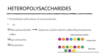 HETEROPOLYSACCHARIDES
• On hydrolysis yield mixture of monosaccharides
• eg-
 Mucopolysaccharides hyaluronic acid,chondroitin sulfate,Heparin,dermatan
sulfate
Agar and pectins
Glycoproteins
 