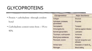 GLYCOPROTEINS
• Protein + carbohydrate –through covalent
bond
• Carbohydrate content varies from – 1% to
90%
 