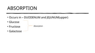 ABSORPTION
• Occurs in – DUODENUM and JEJUNUM(upper)
• Glucose
• Fructose
• Galactose
Absorption
 