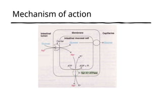 Mechanism of action
 