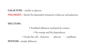 GALACTOSE – similar to glucose
PHLORIZIN – blocks Na dependent transport of glucose and galactose
FRUCTOSE –
• Facillited diffusion mediated by carriers
• No energy and Na dependency
• Inside the cell – frusctose glucose capillaries
PENTOSE –simple diffusion
 