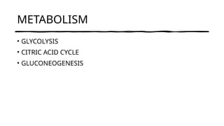 METABOLISM
• GLYCOLYSIS
• CITRIC ACID CYCLE
• GLUCONEOGENESIS
 