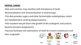 DENTAL CARIES
•Diet and nutrition may interfere with the balance of tooth
demineralization and remineralization in several ways.
•The diet provides sugars and other fermentable carbohydrates, which
are metabolized to acids by plaque bacteria .
•The resultant low pH favors the growth of the acidogenic and aciduric
bacteria (mutans streptococci).
•Sucrose facilitates the colonization of teeth by mutans streptococci and
their outgrowth
 