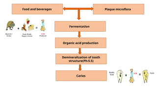Food and beverages Plaque microflora
Fermentation
Organic acid production
Demineralization of tooth
structure(Ph-5.5)
Caries
 