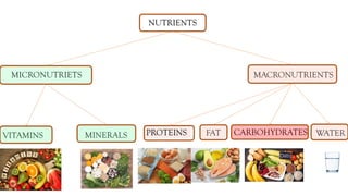 NUTRIENTS
MICRONUTRIETS MACRONUTRIENTS
VITAMINS PROTEINS FAT WATER
CARBOHYDRATES
MINERALS
 