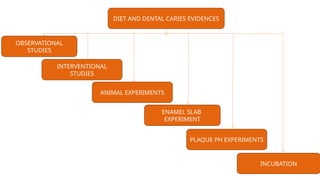 DIET AND DENTAL CARIES EVIDENCES
OBSERVATIONAL
STUDIES
INTERVENTIONAL
STUDIES
ANIMAL EXPERIMENTS
ENAMEL SLAB
EXPERIMENT
PLAQUE PH EXPERIMENTS
INCUBATION
 