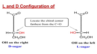 Carbohydrates.pptx learning slide for tetiary students | PPTX