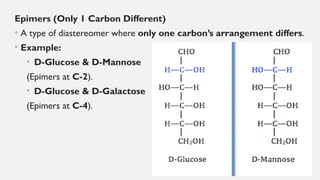 CARBOHYDRATES.pptxhjgdcgggfcghgfghhhgggh | PPTX