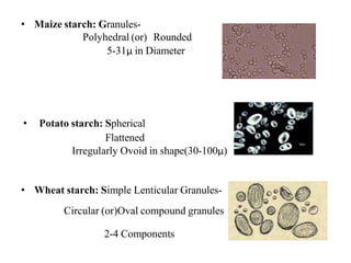 Pharmacognosy101 Carbohydrates.pdf notes | PDF