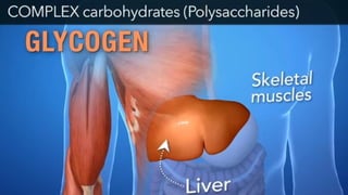 carbohydrates definition and function s.pptx
