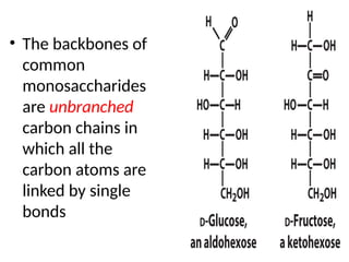 Single Backbones CARBOHYDRATES for the biochemistry department of the medicine | PPTX