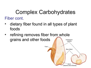 15
Complex Carbohydrates
Fiber cont.
• dietary fiber found in all types of plant
foods
• refining removes fiber from whole
grains and other foods
 