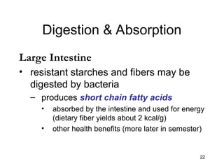 22
Digestion & Absorption
Large Intestine
• resistant starches and fibers may be
digested by bacteria
– produces short chain fatty acids
• absorbed by the intestine and used for energy
(dietary fiber yields about 2 kcal/g)
• other health benefits (more later in semester)
 