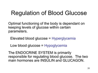 33
Regulation of Blood Glucose
Optimal functioning of the body is dependant on
keeping levels of glucose within certain
parameters.
Elevated blood glucose = Hyperglycemia
Low blood glucose = Hypoglycemia
The ENDOCRINE SYSTEM is primarily
responsible for regulating blood glucose. The two
main hormones are INSULIN and GLUCAGON.
 
