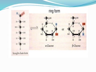 Comprehensive Overview of Carbohydrates: Structure, Classification, and ...