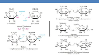 Comprehensive Overview of Carbohydrates: Structure, Classification ...