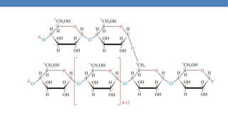 Comprehensive Overview of Carbohydrates: Structure, Classification ...