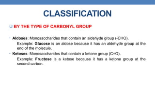Comprehensive Overview of Carbohydrates: Structure, Classification ...