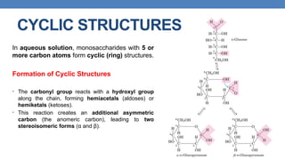 Comprehensive Overview of Carbohydrates: Structure, Classification ...