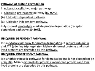 Pathways of protein degradation
In eukaryotic cells, two major pathways:
1- Ubiquitin-proteasome pathway (80-90%).
(A) Ubiquitin dependent pathway.
(B) Ubiquitin independent pathway.
2- lysosomal proteolysis mediate protein degradation (receptor
dependent pathway) (10-20%).
UBIQUITIN DEPENDENT PATHWAY:
It is a cytosolic pathway for protein degradation. It requires ubiquitin
and ATP (adenine triphosphate). Mainly abnormal proteins and short
lived proteins are degraded by this pathway.
UBIQUITIN INDEPENDENT PATHWAY:
It is another cytosolic pathways for degradation and is not dependent on
ubiquitin. Mainly extracellular proteins, membrane proteins and long
lived proteins are degraded by this pathway.
 