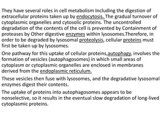 They have several roles in cell metabolism Including the digestion of
extracellular proteins taken up by endocytosis. The gradual turnover of
cytoplasmic organelles and cytosolic proteins. The uncontrolled
degradation of the contents of the cell is prevented by Containment of
proteases by Other digestive enzymes within lysosomes.Therefore, in
order to be degraded by lysosomal proteolysis, cellular proteins must
first be taken up by lysosomes.
One pathway for this uptake of cellular proteins,autophagy, involves the
formation of vesicles (autophagosomes) in which small areas of
cytoplasm or cytoplasmic organelles are enclosed in membranes
derived from the endoplasmic reticulum.
These vesicles then fuse with lysosomes, and the degradative lysosomal
enzymes digest their contents.
The uptake of proteins into autophagosomes appears to be
nonselective, so it results in the eventual slow degradation of long-lived
cytoplasmic proteins.
 