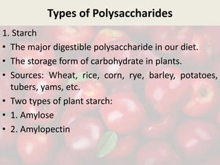 Types of Polysaccharides
1. Starch
• The major digestible polysaccharide in our diet.
• The storage form of carbohydrate in plants.
• Sources: Wheat, rice, corn, rye, barley, potatoes,
tubers, yams, etc.
• Two types of plant starch:
• 1. Amylose
• 2. Amylopectin
 