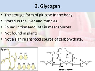 3. Glycogen
• The storage form of glucose in the body.
• Stored in the liver and muscles.
• Found in tiny amounts in meat sources.
• Not found in plants.
• Not a significant food source of carbohydrate.
 