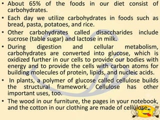 • About 65% of the foods in our diet consist of
carbohydrates.
• Each day we utilize carbohydrates in foods such as
bread, pasta, potatoes, and rice.
• Other carbohydrates called disaccharides include
sucrose (table sugar) and lactose in milk.
• During digestion and cellular metabolism,
carbohydrates are converted into glucose, which is
oxidized further in our cells to provide our bodies with
energy and to provide the cells with carbon atoms for
building molecules of protein, lipids, and nucleic acids.
• In plants, a polymer of glucose called cellulose builds
the structural framework. Cellulose has other
important uses, too.
• The wood in our furniture, the pages in your notebook,
and the cotton in our clothing are made of cellulose.
 