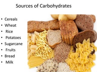 Sources of Carbohydrates
• Cereals
• Wheat
• Rice
• Potatoes
• Sugarcane
• Fruits
• Bread
• Milk
 