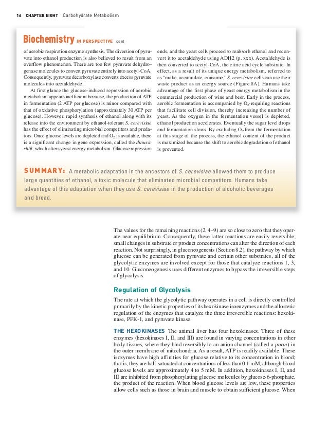 Essay questions on carbohydrate metabolism