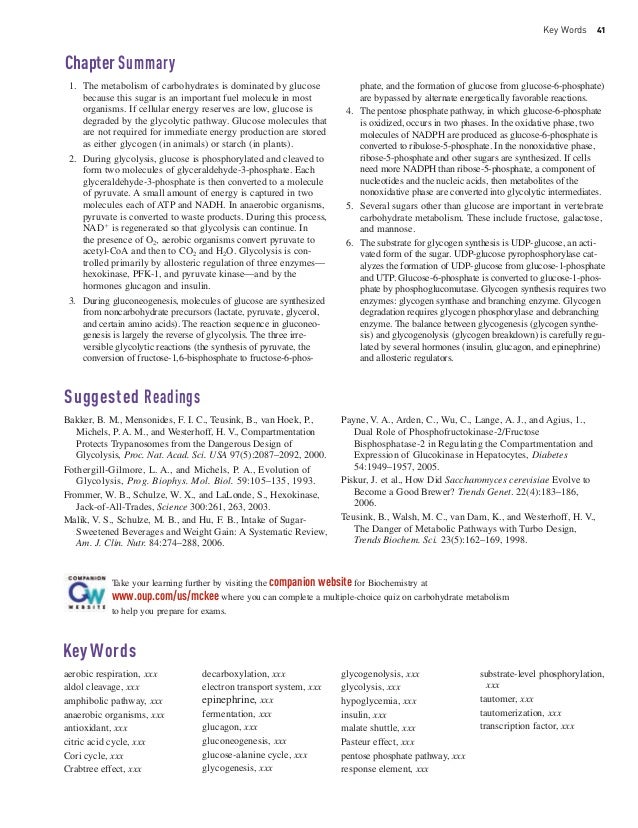 essay approximately insulin essay on the subject of insulin