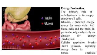Energy Production:
The primary role of
carbohydrates is to supply
energy to all cells.
Glucose, - preferred energy
source for many cells. Red
blood cells and the brain, in
particular, rely exclusively on
glucose for energy
production.
respiration breaks
glucose,
from its
capturing
chemical
Cellular
down
energy
bonds.
 