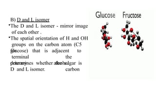 B) D and L isomer
•The D and L isomer - mirror image
of each other .
•The spatial orientation of H and OH
groups on the carbon atom (C5
for
glucose) that is
terminal
primary
adjacent to
the
alcohol
carbon
determines whether the sugar is
D and L isomer.
 
