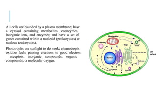 All cells are bounded by a plasma membrane; have
a cytosol containing metabolites, coenzymes,
inorganic ions, and enzymes; and have a set of
genes contained within a nucleoid (prokaryotes) or
nucleus (eukaryotes).
Phototrophs use sunlight to do work; chemotrophs
oxidize fuels, passing electrons to good electron
acceptors: inorganic compounds, organic
compounds, or molecular oxygen.
 