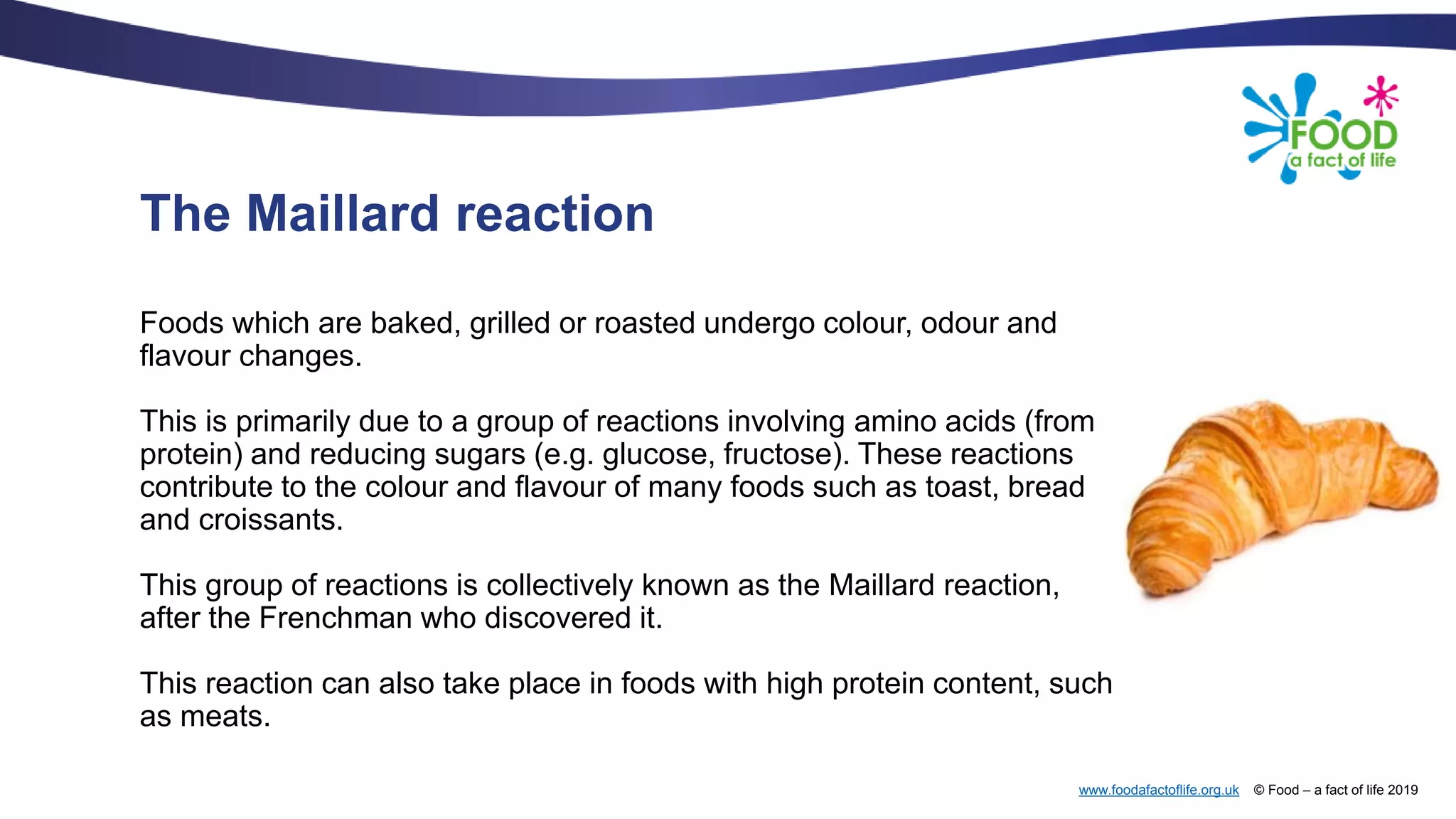 www.foodafactoflife.org.uk © Food – a fact of life 2019
The Maillard reaction
Foods which are baked, grilled or roasted undergo colour, odour and
flavour changes.
This is primarily due to a group of reactions involving amino acids (from
protein) and reducing sugars (e.g. glucose, fructose). These reactions
contribute to the colour and flavour of many foods such as toast, bread
and croissants.
This group of reactions is collectively known as the Maillard reaction,
after the Frenchman who discovered it.
This reaction can also take place in foods with high protein content, such
as meats.
 