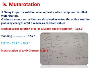 Mutarotation Example Carbohydrates Monosaccharides properties | PPTX