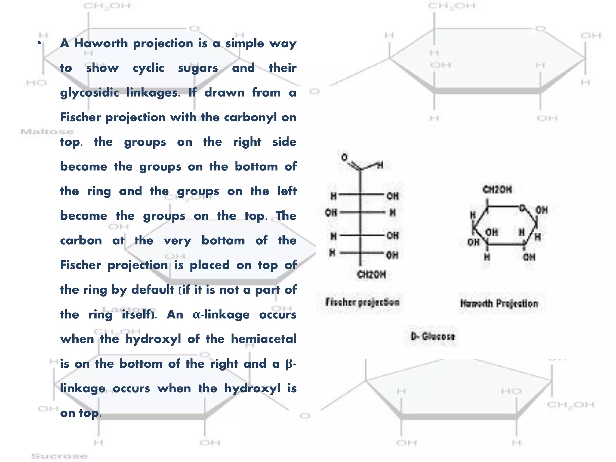 • A Haworth projection is a simple way
to show cyclic sugars and their
glycosidic linkages. If drawn from a
Fischer projection with the carbonyl on
top, the groups on the right side
become the groups on the bottom of
the ring and the groups on the left
become the groups on the top. The
carbon at the very bottom of the
Fischer projection is placed on top of
the ring by default (if it is not a part of
the ring itself). An α-linkage occurs
when the hydroxyl of the hemiacetal
is on the bottom of the right and a β-
linkage occurs when the hydroxyl is
on top.
 