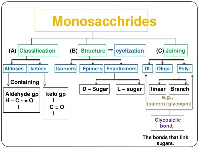 Definition Function And Classification Of Carbohydrates
