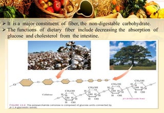  lt is a major constituent of fiber, the non-digestable carbohydrate.
 The functions of dietary fiber include decreasing the absorption of
glucose and cholesterol from the intestine.
 