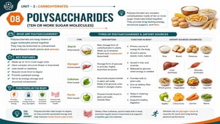 Carbohydrates: Classification, Functions, Sources & Nutritional Importance