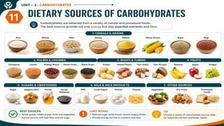 Carbohydrates: Classification, Functions, Sources & Nutritional Importance