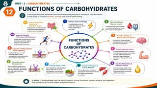 Carbohydrates: Classification, Functions, Sources & Nutritional Importance