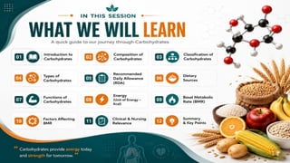 Carbohydrates: Classification, Functions, Sources & Nutritional Importance