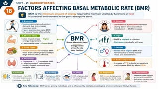 Carbohydrates: Classification, Functions, Sources & Nutritional Importance