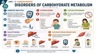 Carbohydrates: Classification, Functions, Sources & Nutritional Importance